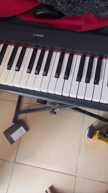 Đàn piano điện Yamaha NP11 Đen. Mua bán Nhạc cụ tại Thành phố Mỹ Tho Tiền Giang được đăng bởi Ông Giáo Quánh Đờn hình 1