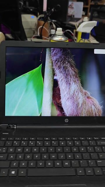 HP Intel Core i3 Gen 6 8GB/120GB. Mua bán Laptop tại Quận Cầu Giấy Hà Nội được đăng bởi Mạnh Đức CongngheDL hình 1