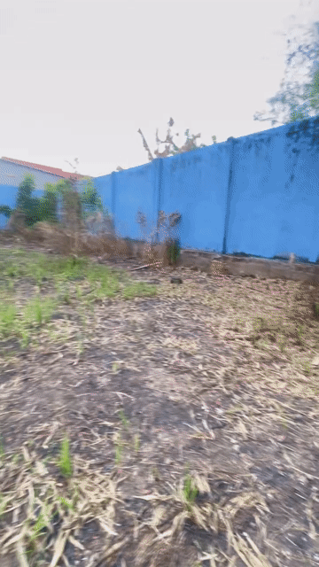Mua bán Đất Huyện Củ Chi Tp Hồ Chí Minh diện tích 864 m² giá 7,45 tỷ