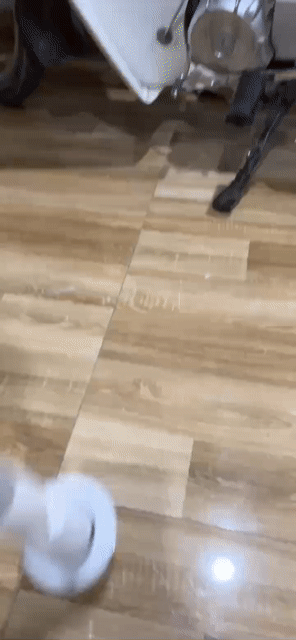 Máy cọ nhà vệ sinh Trắng còn mới. Mua bán Thiết bị vệ sinh, nhà tắm tại Quận Hà Đông Hà Nội được đăng bởi nguyễn huê hình 1