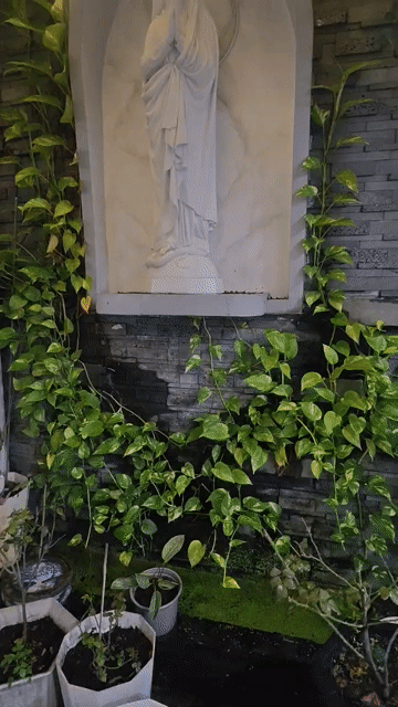 Mua bán Nhà ở Quận Bình Tân Tp Hồ Chí Minh diện tích 92.9 m² giá 5,6 tỷ