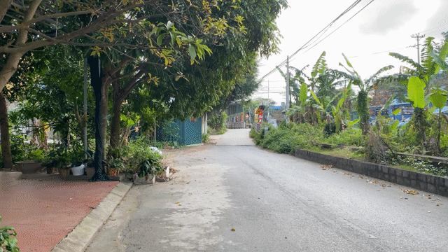 Cho thuê Văn phòng, Mặt bằng kinh doanh Thành phố Nam Định Nam Định diện tích 80 m² giá 2 triệu/tháng
