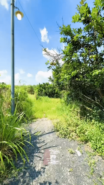 Cho thuê Nhà ở Huyện Vĩnh Cửu Đồng Nai diện tích 1000 m² giá 5 triệu/tháng