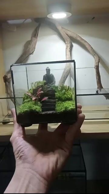 tiểu cảnh mini . Mua bán Cây cảnh, đồ trang trí tại Huyện Bình Chánh Tp Hồ Chí Minh được đăng bởi không tên  hình 1