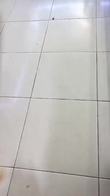 Apple iPhone 15 Pro Max 512GB Trắng. Mua bán Điện thoại tại Huyện Gò Quao Kiên Giang được đăng bởi Xuân Uyên mobile hình 1