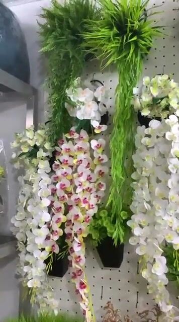 Decor