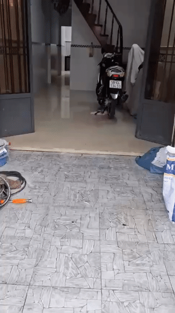 Cho thuê Nhà ở Quận 7 Tp Hồ Chí Minh diện tích 45 m² giá 15 triệu/tháng