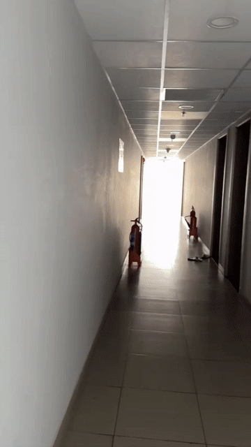 Mua bán Căn hộ Chung cư Thành phố Biên Hòa Đồng Nai diện tích 53 m² giá 1,4 tỷ