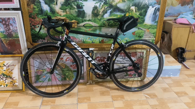 Xe đạp đua Giant TCR Nhôm Carbon Đen. Mua bán Xe đạp tại Thành phố Vũng Tàu Bà Rịa - Vũng Tàu được đăng bởi  Toan Quoc hình 1