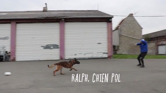 Des maîtres-chiens au service des autres