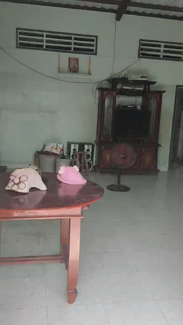 Mua bán Nhà ở Huyện Gò Công Đông Tiền Giang diện tích 800.5999 m² giá 720 triệu