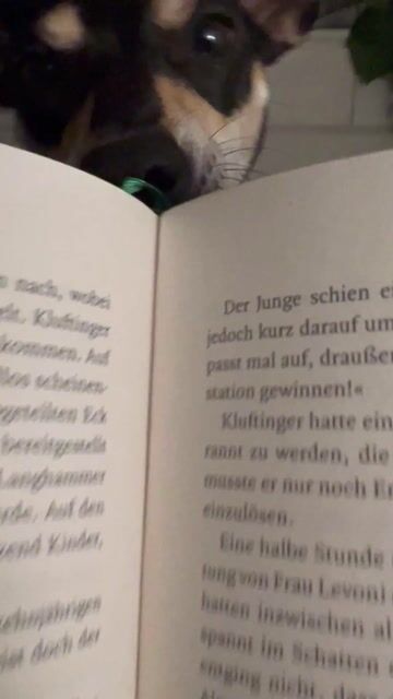 Klassischer Kluftinger