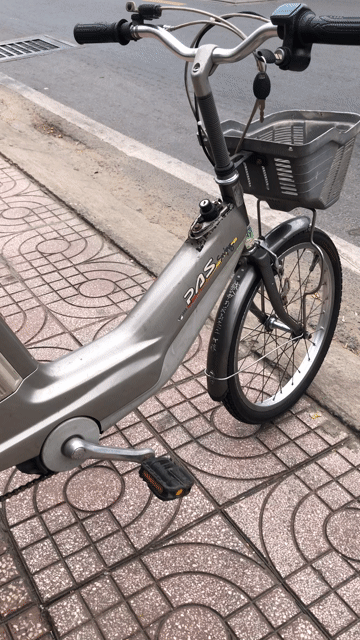 Xe đạp điện Yamaha PAS Bạc. Mua bán Xe đạp tại Quận 8 Tp Hồ Chí Minh được đăng bởi Sơn Nguyễn hình 1