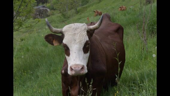 Les quatre saisons de l'agriculture