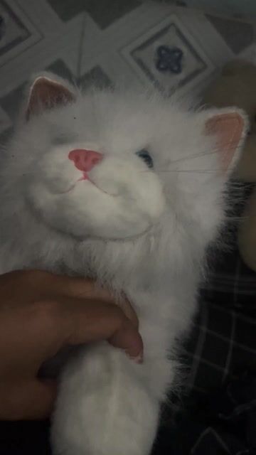 Thú nhồi bông Mèo Trắng. Mua bán Sở thích khác tại Huyện Củ Chi Tp Hồ Chí Minh được đăng bởi bảo trí hình 1