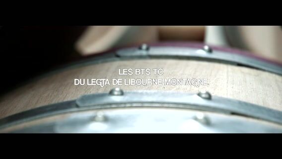 Le sauterne c'est moderne