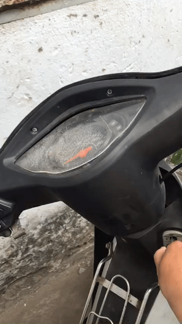 Kawasaki Hai bánh 2013 Đen-Xám. Mua bán Xe máy tại Thành phố Thủ Đức Tp Hồ Chí Minh được đăng bởi Vui Phạm Sneaker Chấm VN hình 1