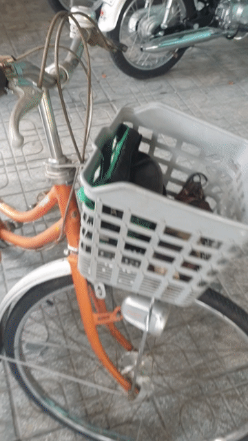Xe đạp thể thao Asama khung Thép Nhật Bản Cam. Mua bán Xe đạp tại Huyện Củ Chi Tp Hồ Chí Minh được đăng bởi thomo hình 1