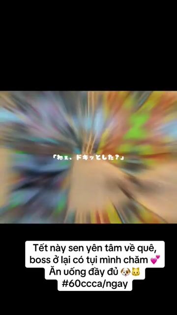 hotel chó mèo 60k/1 ngày. Mua bán Mèo tại Quận Gò Vấp Tp Hồ Chí Minh được đăng bởi hanh bupbe bupbe hình 1