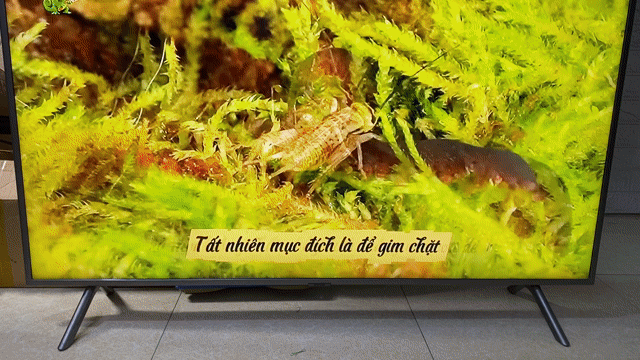 Tivi Samsung UA50RU7250 4K Ultra HD. Mua bán Tivi, Âm thanh tại Thành phố Thái Bình Thái Bình được đăng bởi TiVi Chất  hình 1
