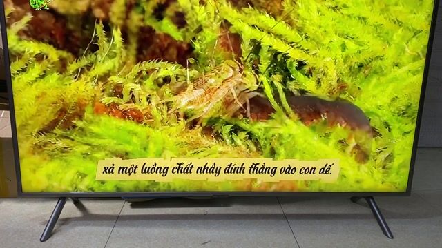Tivi Samsung UA50RU7250 4K Ultra HD. Mua bán Tivi, Âm thanh tại Thành phố Thái Bình Thái Bình được đăng bởi TiVi Chất  hình 1