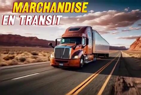 Marchandise en transit