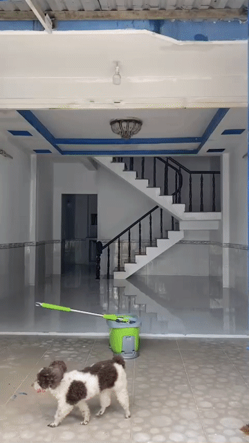 Cho thuê Nhà ở Huyện Bình Chánh Tp Hồ Chí Minh diện tích 50 m² giá 5 triệu/tháng