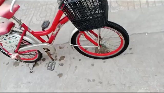 Xe đạp nữ kim loại màu Đỏ. Mua bán Xe đạp tại Quận Tân Phú Tp Hồ Chí Minh được đăng bởi Cao Duy Thắng hình 1