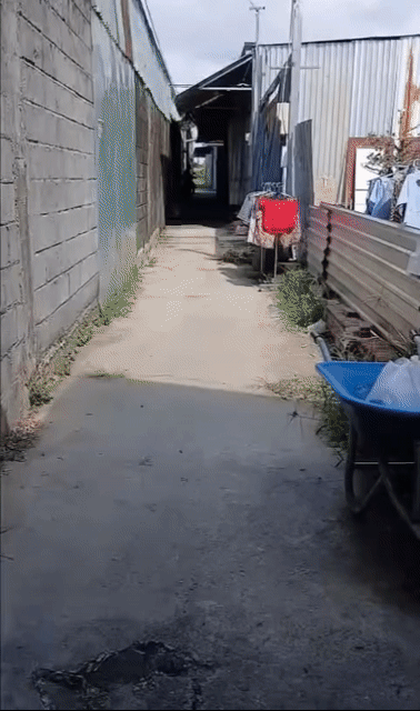 Mua bán Nhà ở Huyện Củ Chi Tp Hồ Chí Minh diện tích 40 m² giá 535 triệu
