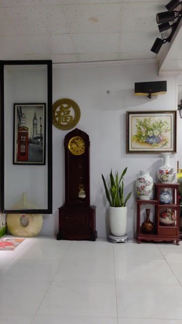 Đồng hồ cây gỗ Nâu - Hàn Quốc. Mua bán Nội thất, đồ gia dụng khác tại Quận Hai Bà Trưng Hà Nội được đăng bởi Mai Thanh hình 1