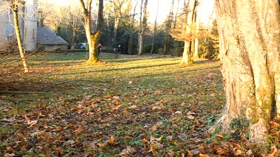 Arboriste grimpeur, un métier à haut risques !