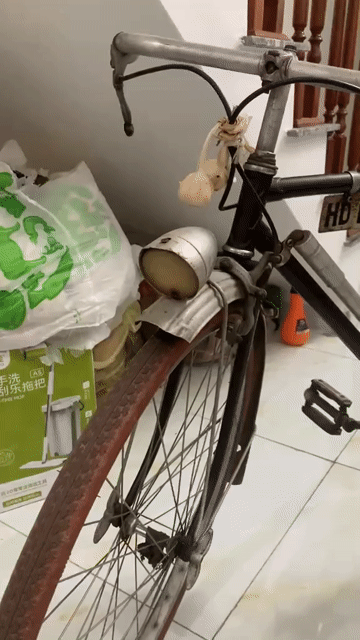 Xe đạp Đen. Mua bán Xe đạp tại Thành phố Hải Dương Hải Dương được đăng bởi thuấn  hình 1