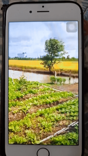 Mua bán Đất Huyện Gò Công Đông Tiền Giang diện tích 2000 m² giá 700 triệu