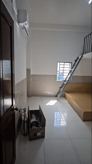 Cho thuê Phòng trọ Quận Bình Tân Tp Hồ Chí Minh diện tích 15 m² giá 3,8 triệu/tháng