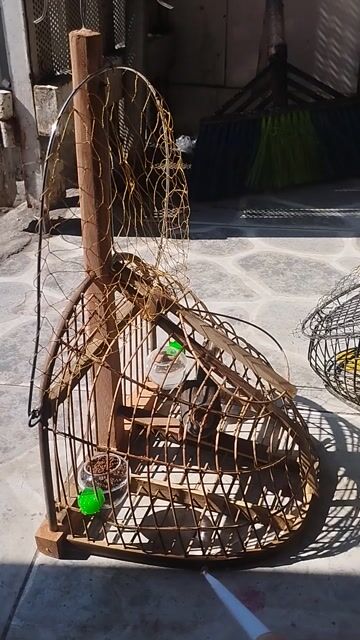 Chim sâu đầu đỏ và lụp. Mua bán Chim tại Huyện Hóc Môn Tp Hồ Chí Minh được đăng bởi khang hình 1