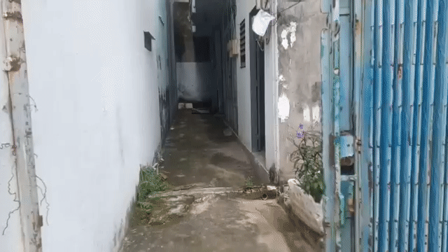 Cho thuê Nhà ở Quận 8 Tp Hồ Chí Minh diện tích 24 m² giá 2,7 triệu/tháng