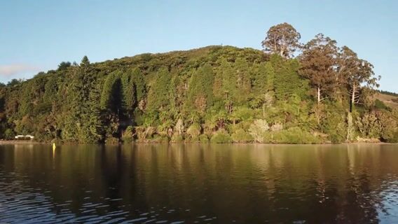 Service civique environnement