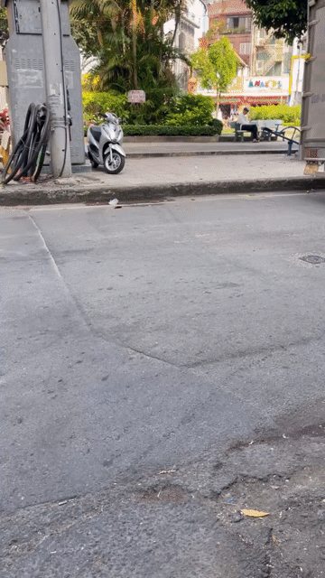 Cho thuê Văn phòng, Mặt bằng kinh doanh Quận Tân Bình Tp Hồ Chí Minh diện tích 20 m² giá 5 triệu/tháng