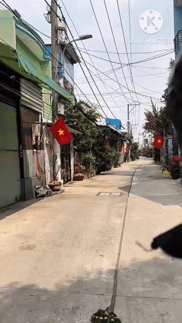 Mua bán Nhà ở Quận Bình Tân Tp Hồ Chí Minh diện tích 30 m² giá 3 tỷ