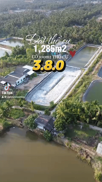 Mua bán Đất Huyện Tân Phú Đông Tiền Giang diện tích 1285 m² giá 380 triệu