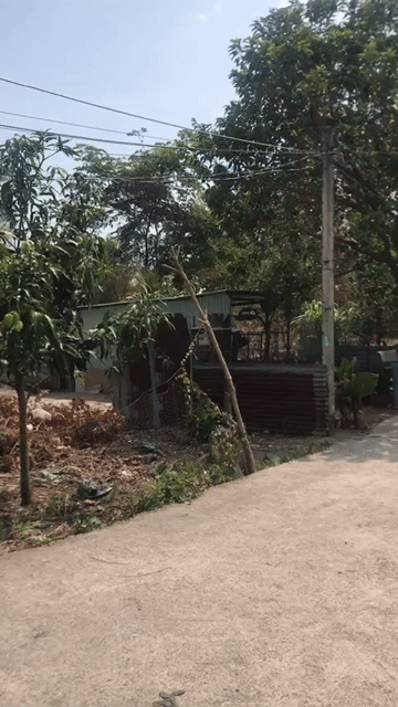 Mua bán Đất Thị xã Phú Mỹ Bà Rịa - Vũng Tàu diện tích 1000 m² giá 6,2 tỷ