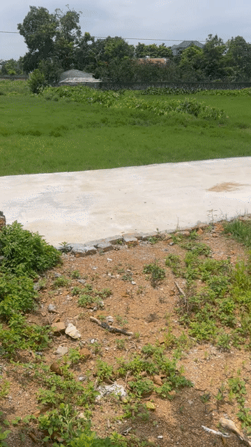 Mua bán Đất Huyện Chương Mỹ Hà Nội diện tích 489 m² giá 3,2 tỷ