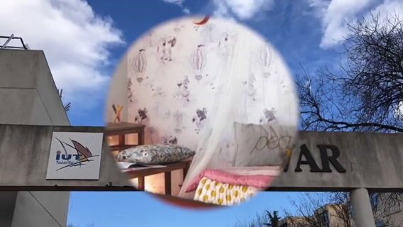 IUT GEA : RÊVE OU RÉALITÉ ?