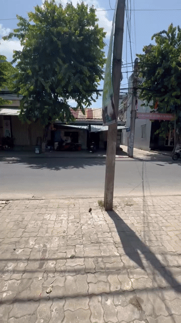 Mua bán Đất Quận Cẩm Lệ Đà Nẵng diện tích 84 m² giá 3,25 tỷ