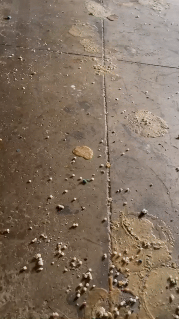 Cho thuê Văn phòng, Mặt bằng kinh doanh Huyện Đức Hòa Long An diện tích 600 m² giá 20 triệu/tháng