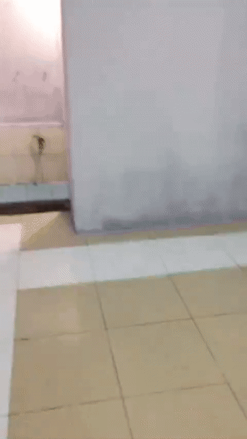 Cho thuê Phòng trọ Thành phố Thuận An Bình Dương diện tích 15 m² giá 800.000 đ/tháng
