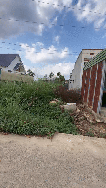 Cho thuê Đất Huyện Đức Trọng Lâm Đồng diện tích 360 m² giá 5 triệu/tháng