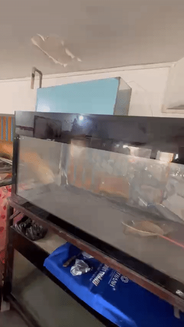 Hồ cá 1.2m x 0.5m x 0.6m. Mua bán Phụ kiện, Thức ăn, Dịch vụ tại Quận 5 Tp Hồ Chí Minh được đăng bởi phan hạnh hình 1