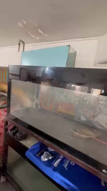 Hồ cá 1.2m x 0.5m x 0.6m. Mua bán Phụ kiện, Thức ăn, Dịch vụ tại Quận 5 Tp Hồ Chí Minh được đăng bởi phan hạnh hình 1