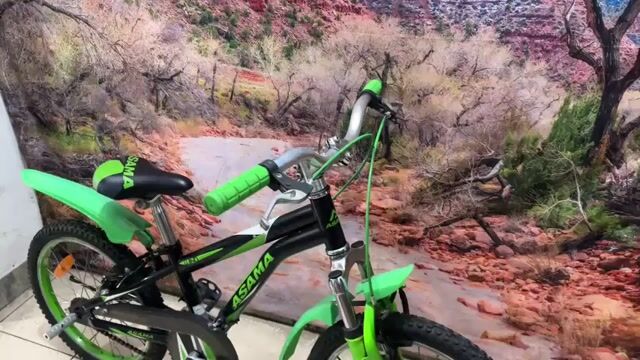 Xe trẻ em ASAMA 18 inch. Mua bán Xe đạp tại Quận Tân Bình Tp Hồ Chí Minh được đăng bởi Bbb hình 1